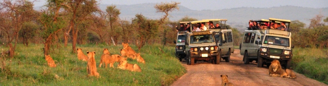 Tanzania Wildlife Safaris